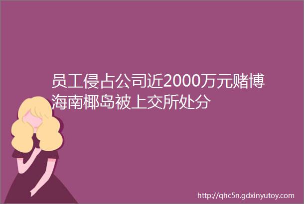 员工侵占公司近2000万元赌博海南椰岛被上交所处分